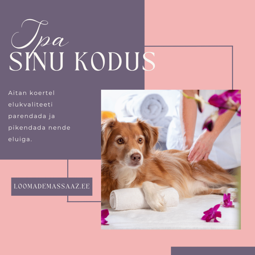 loomademassaaz reklaam spa sinu kodus